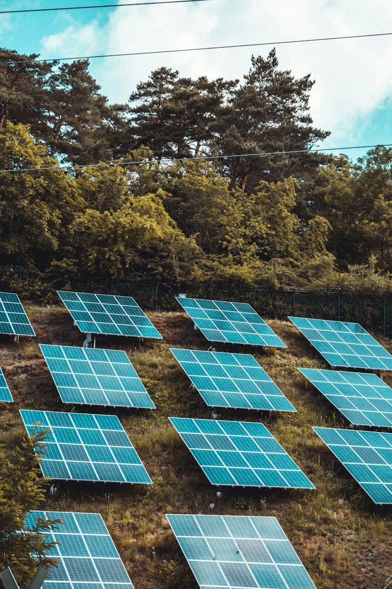 Usinas de energia solar e agronegócio